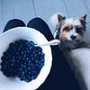 лучшие фото Анна Найдина лучшие фото Анна Найдина