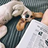 новое фото Дарья Поморцева новое фото Дарья Поморцева