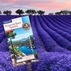 фотография Женя Андерсон фотография Женя Андерсон
