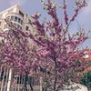 лучшие фото Дарья Канануха лучшие фото Дарья Канануха
