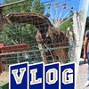 реклама в блоге angelofreniya_official реклама в блоге angelofreniya_official