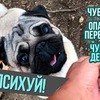 новое фото gleb_kornilov новое фото gleb_kornilov