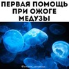 реклама в блоге Анна Левадная реклама в блоге Анна Левадная