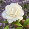 фотография Наталья Весна фотография Наталья Весна