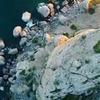 фото на странице Эвелина Бледанс фото на странице Эвелина Бледанс