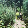 заказать рекламу у блоггера Оксана Ковалевская заказать рекламу у блоггера Оксана Ковалевская