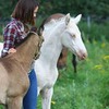 реклама на блоге Саша Твердохлебова реклама на блоге Саша Твердохлебова