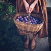 реклама у блоггера Мария Соловей реклама у блоггера Мария Соловей