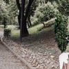 новое фото Яна Бельская новое фото Яна Бельская