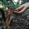 разместить рекламу в блоге Андрей Свистунов разместить рекламу в блоге Андрей Свистунов
