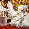 фото Татьяна Кирилюк фото Татьяна Кирилюк