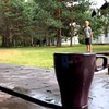 разместить рекламу в блоге Юлия Биржанова разместить рекламу в блоге Юлия Биржанова