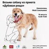 фото на странице Татьяна Терешина фото на странице Татьяна Терешина