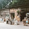 реклама в блоге Арина Костикова реклама в блоге Арина Костикова