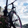 реклама у блоггера Ольга Кодинцева реклама у блоггера Ольга Кодинцева