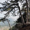 разместить рекламу в блоге Дарья Поморцева разместить рекламу в блоге Дарья Поморцева