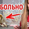 заказать рекламу у блоггера anny_mayy заказать рекламу у блоггера anny_mayy