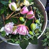 реклама в блоге Кацярына Казак реклама в блоге Кацярына Казак