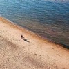 реклама у блоггера Анастасия реклама у блоггера Анастасия