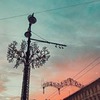 фото Альберта Ушакова фото Альберта Ушакова