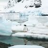 заказать рекламу у блоггера Лена Пиннивуф заказать рекламу у блоггера Лена Пиннивуф