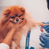 заказать рекламу у блоггера Анна Якунина заказать рекламу у блоггера Анна Якунина