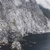новое фото Ирина Грот новое фото Ирина Грот