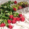 заказать рекламу у блоггера Мария Майорова заказать рекламу у блоггера Мария Майорова