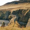 реклама у блоггера Юлия Гришанова реклама у блоггера Юлия Гришанова