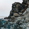 лучшие фото Виктор Полехин лучшие фото Виктор Полехин