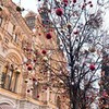 фото на странице Ангелина Шашкина фото на странице Ангелина Шашкина