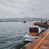 фотография Игорь Звездочкин фотография Игорь Звездочкин