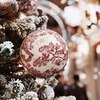 фотография Ярослава Майорова фотография Ярослава Майорова