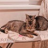 фотография Маргарита Кан фотография Маргарита Кан