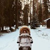 новое фото Алиса Тют новое фото Алиса Тют