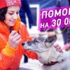 реклама в блоге chihuasophieanny_magik реклама в блоге chihuasophieanny_magik