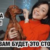 фотография svetlana.s фотография svetlana.s