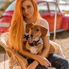 реклама на блоге Дана Баунти реклама на блоге Дана Баунти