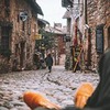 разместить рекламу в блоге Biblik Жадан Александр разместить рекламу в блоге Biblik Жадан Александр