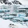 фото на странице Лена Пиннивуф фото на странице Лена Пиннивуф