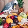 фото на странице Юлия Корф фото на странице Юлия Корф