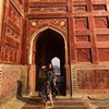 фотография Екатерина Новопашина фотография Екатерина Новопашина