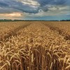 лучшие фото Ксения Цыбульникова лучшие фото Ксения Цыбульникова