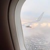 фотография Настя Тропицель фотография Настя Тропицель