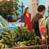 фотография Александр Снитовский фотография Александр Снитовский