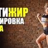 реклама в блоге fitonysha реклама в блоге fitonysha