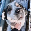 фотография Илья Шевелев фотография Илья Шевелев