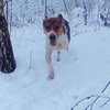 фото Дарья Пушкарева фото Дарья Пушкарева