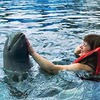 новое фото Светлана Божина новое фото Светлана Божина