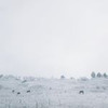 реклама на блоге Оля Нарижная реклама на блоге Оля Нарижная